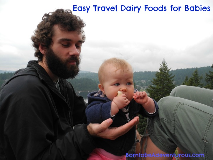 Easy Travel dairy foods